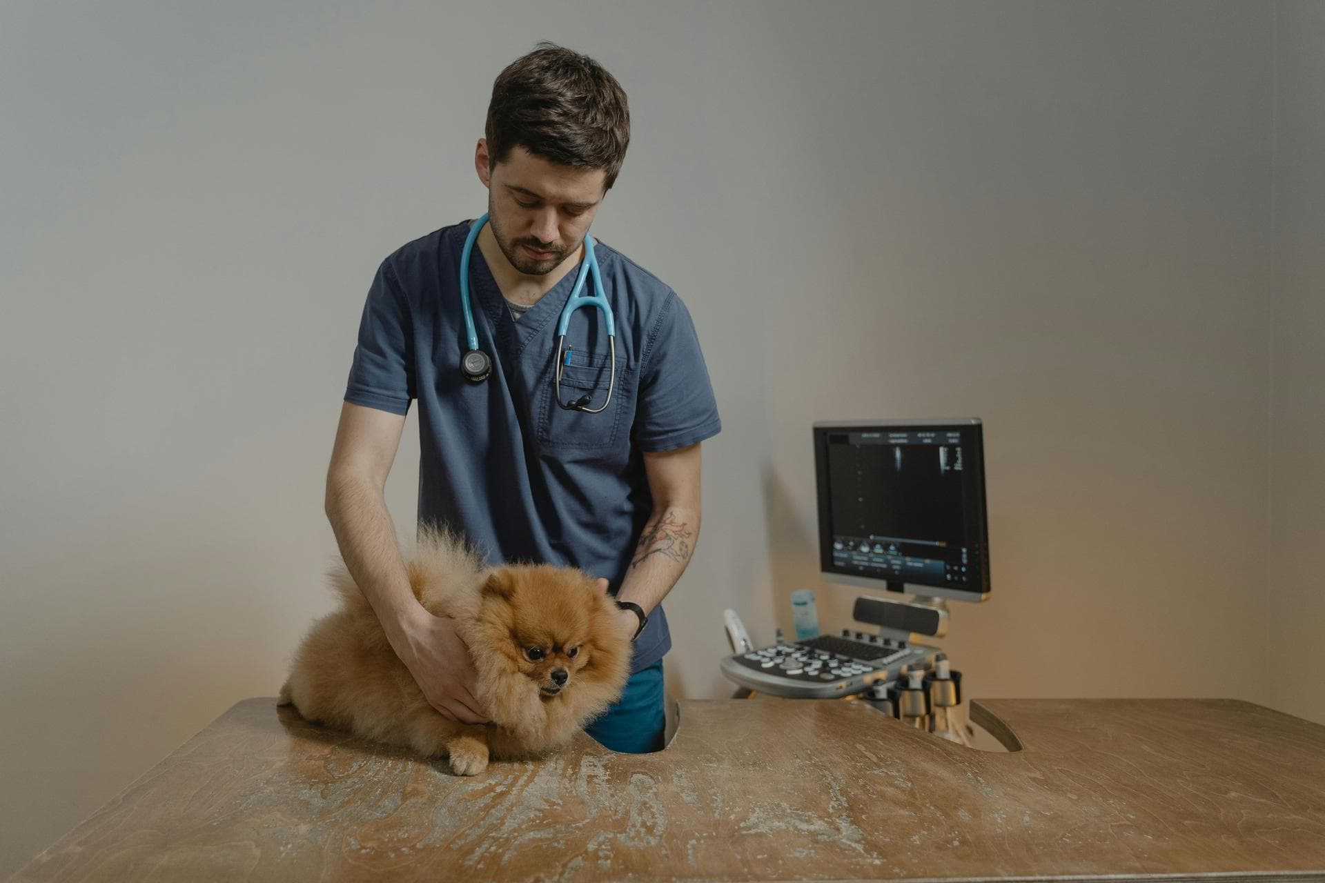 Best Vets in Tulsa